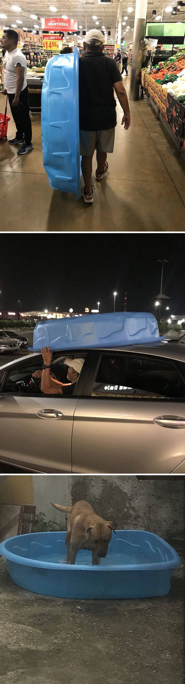 These People Refused To Have Pets (50 pics)