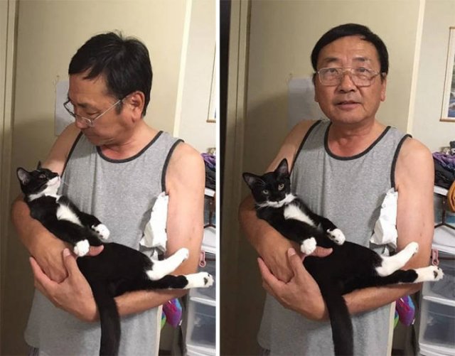 These People Refused To Have Pets (50 pics)