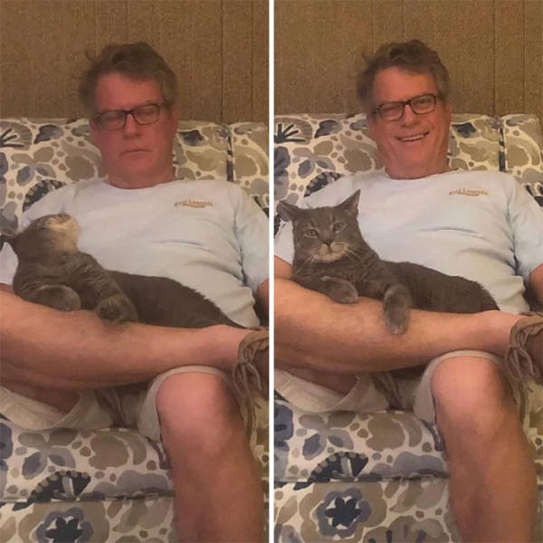These People Refused To Have Pets (50 pics)