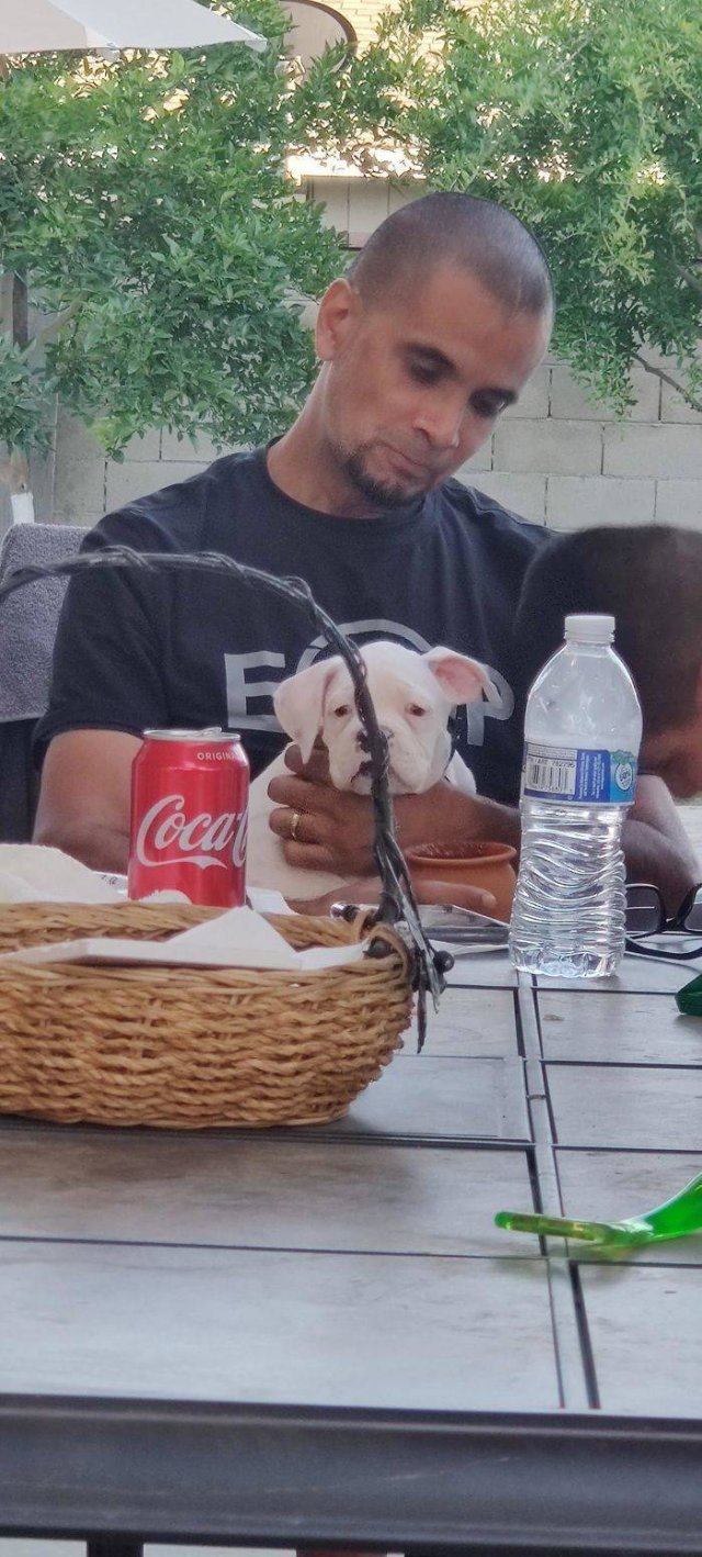 These People Refused To Have Pets (50 pics)