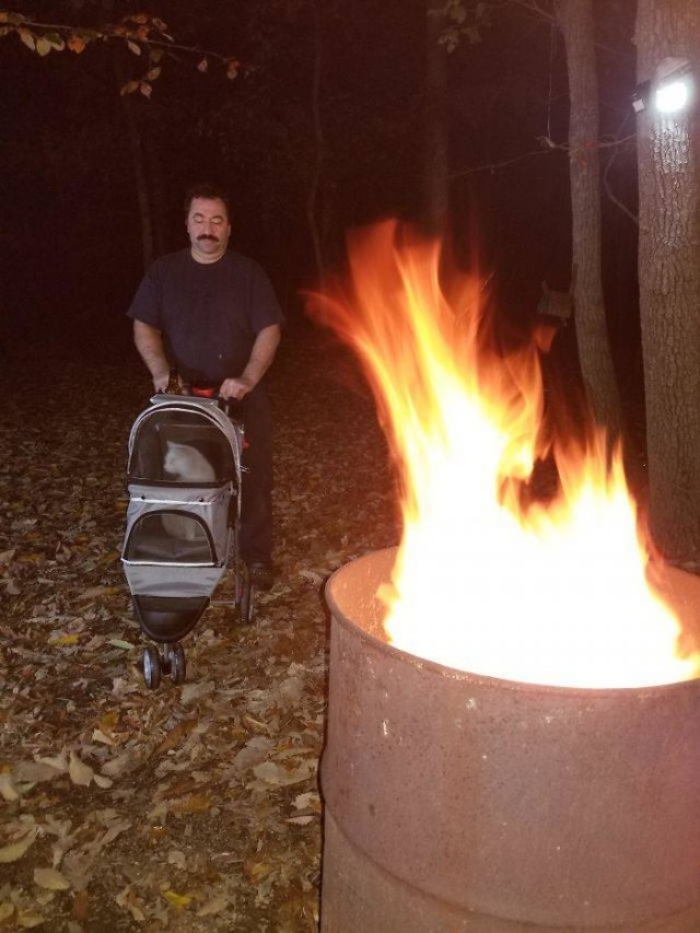 These People Refused To Have Pets (50 pics)