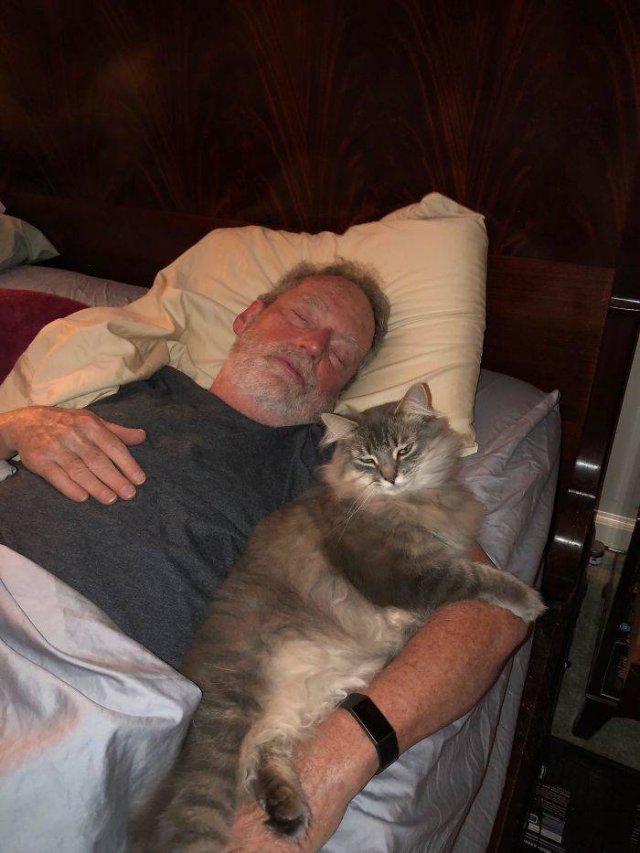 These People Refused To Have Pets (50 pics)