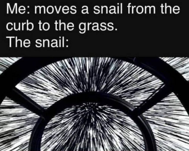 Random Funny Memes (43 pics)