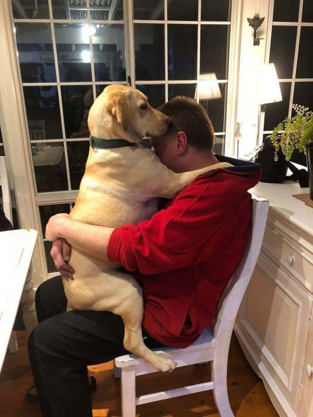 These People Refused To Have Pets (50 pics)