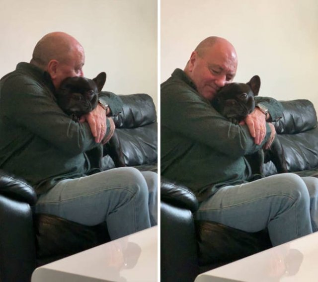 These People Refused To Have Pets (50 pics)