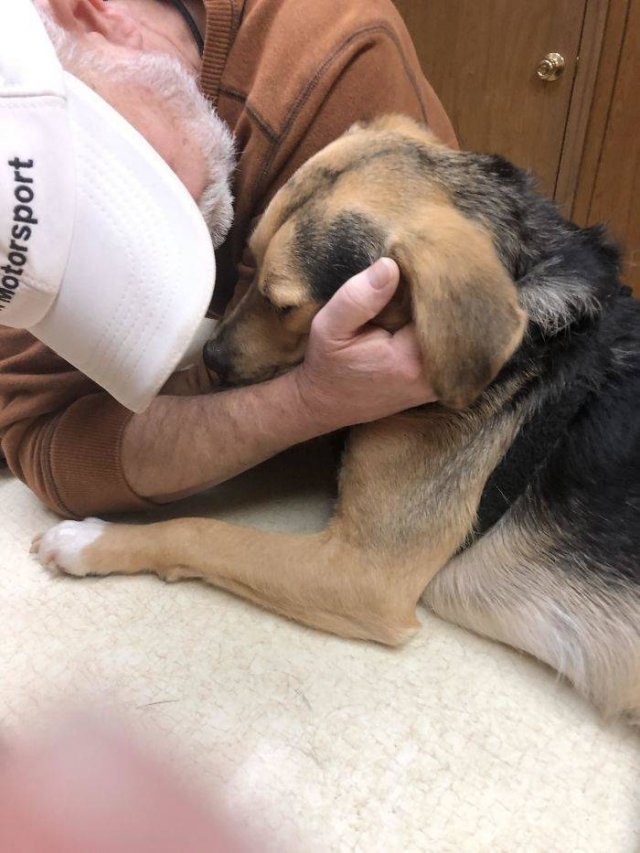 These People Refused To Have Pets (50 pics)
