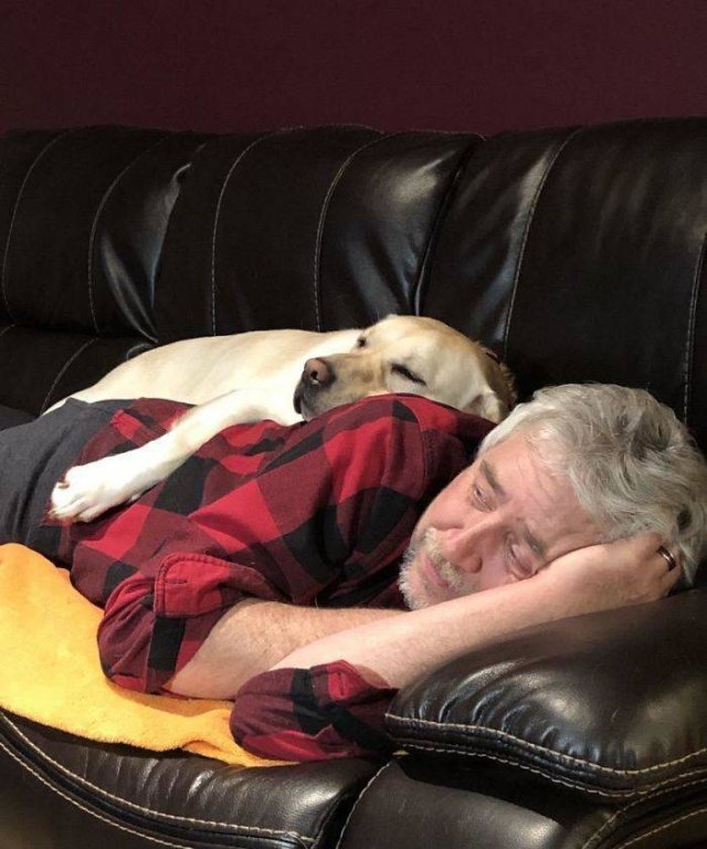 These People Refused To Have Pets (50 pics)