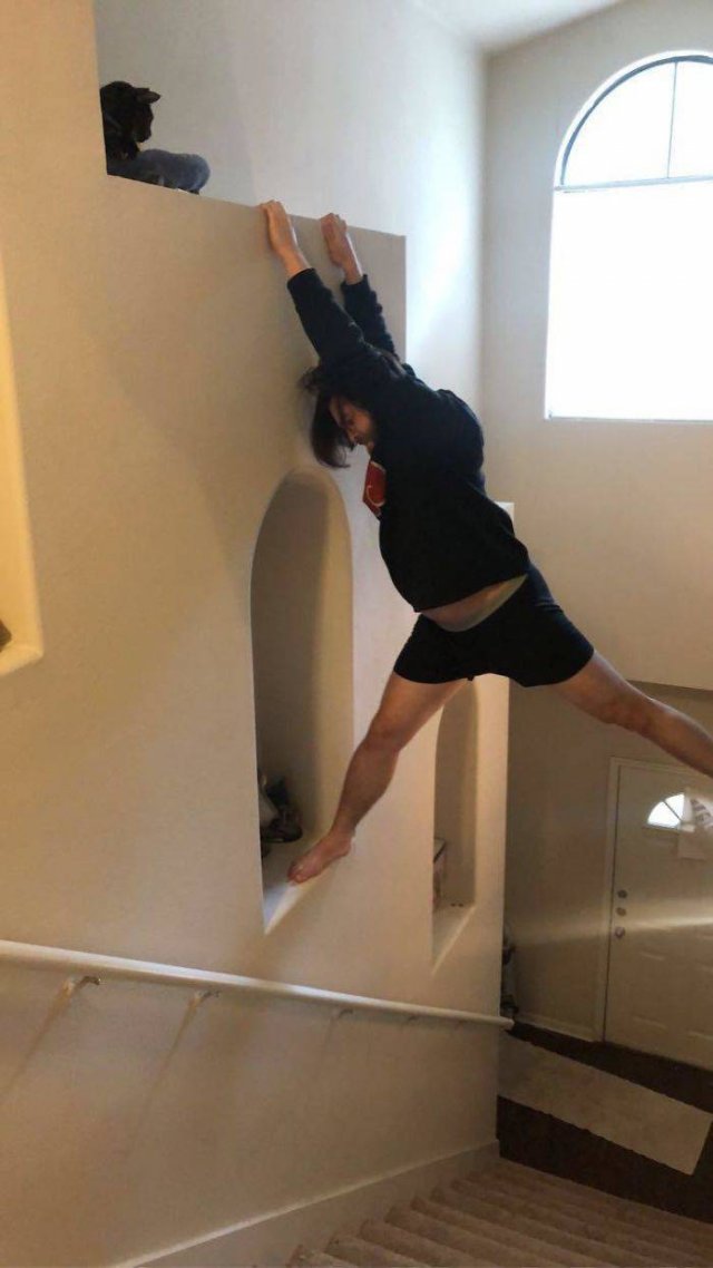 These People Refused To Have Pets (50 pics)