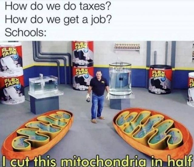 Random Funny Memes (43 pics)
