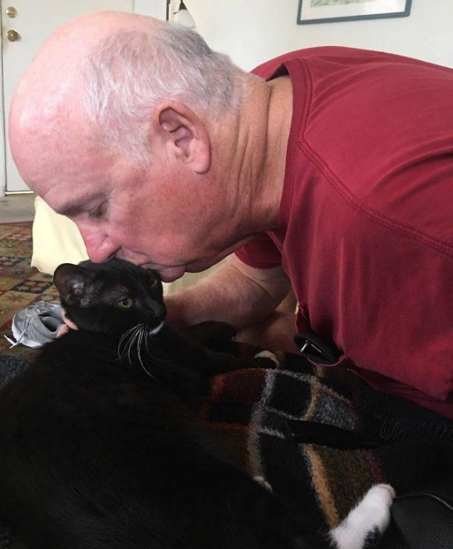 These People Refused To Have Pets (50 pics)
