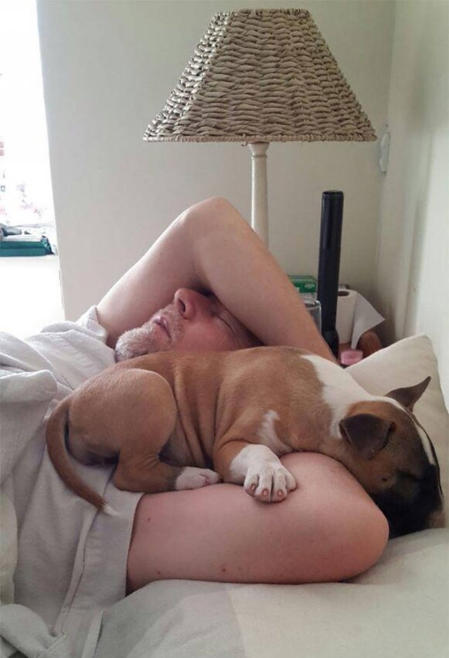 These People Refused To Have Pets (50 pics)