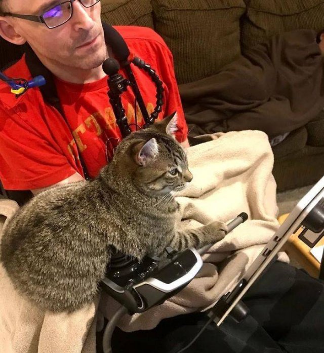 These People Refused To Have Pets (50 pics)