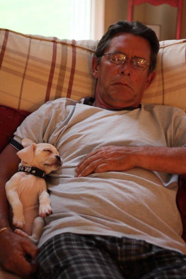 These People Refused To Have Pets (50 pics)