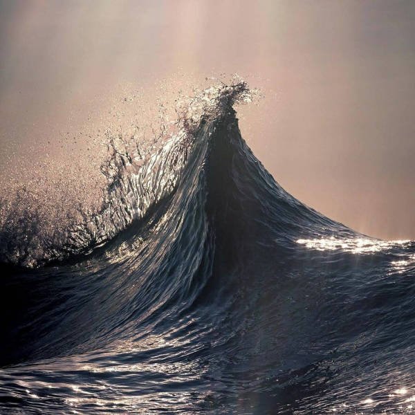 Ocean's Beauty (55 pics)