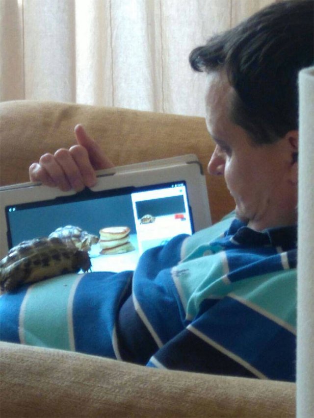 These People Refused To Have Pets (50 pics)