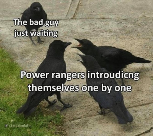Random Funny Memes (43 pics)