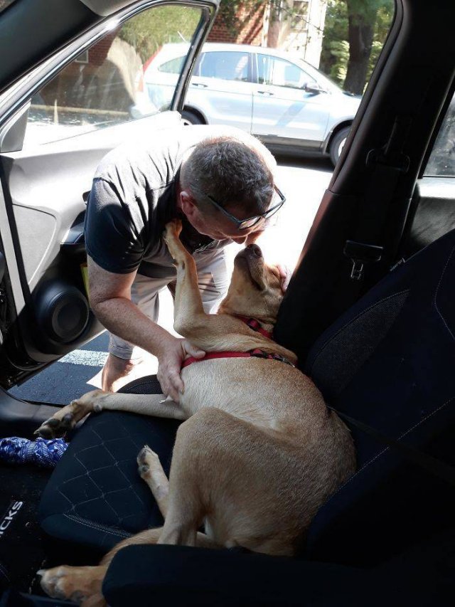 These People Refused To Have Pets (50 pics)