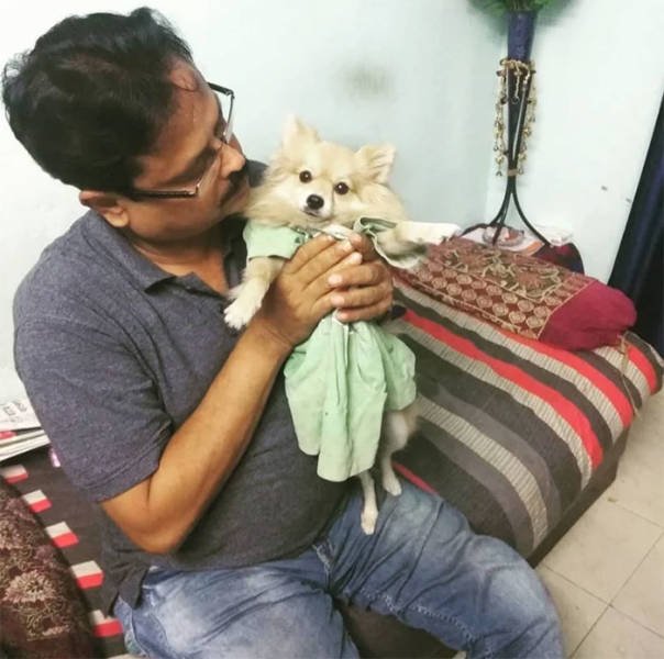 These People Refused To Have Pets (50 pics)