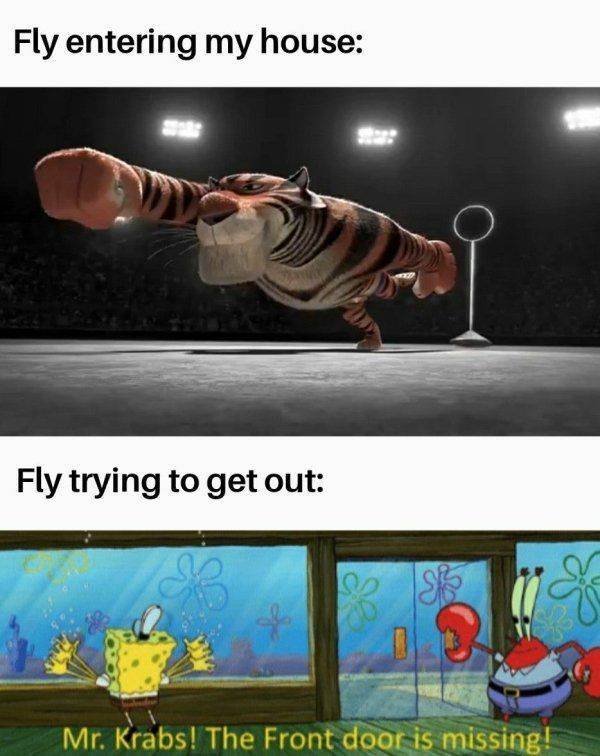 Random Funny Memes (43 pics)