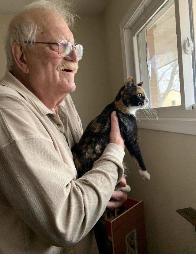 These People Refused To Have Pets (50 pics)