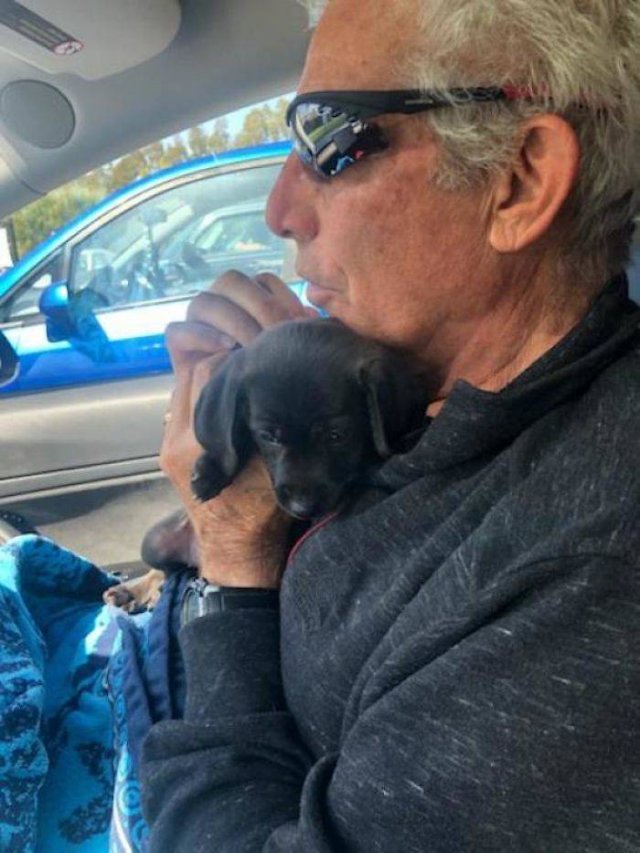 These People Refused To Have Pets (50 pics)