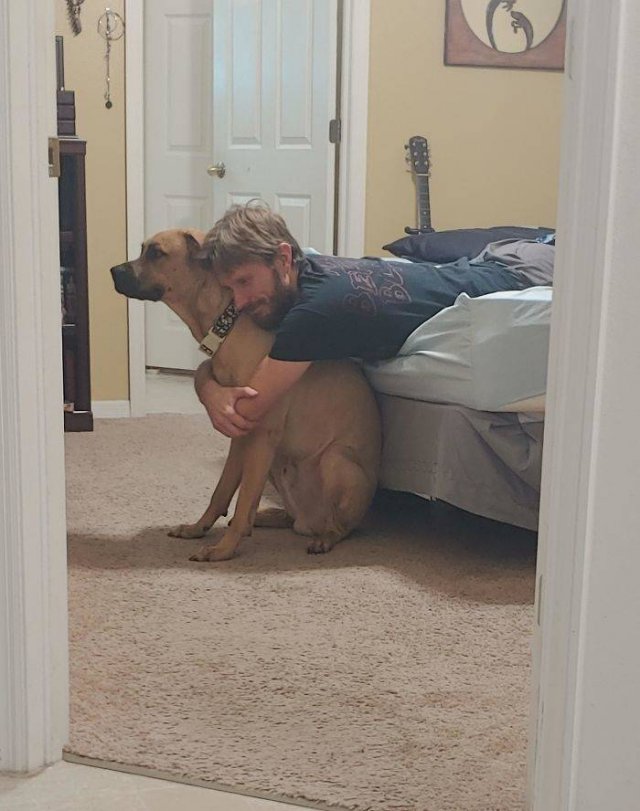 These People Refused To Have Pets (50 pics)