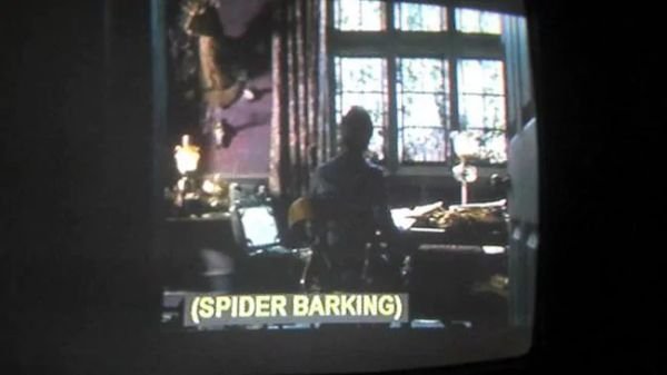 When Subtitles Don't Help At All (34 pics)