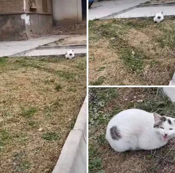 Acid Picdump. Part 1 (96 pics)