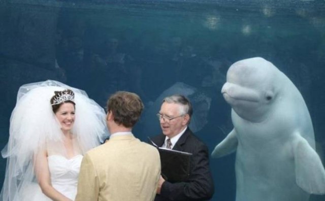 Acid Picdump. Part 1 (96 pics)