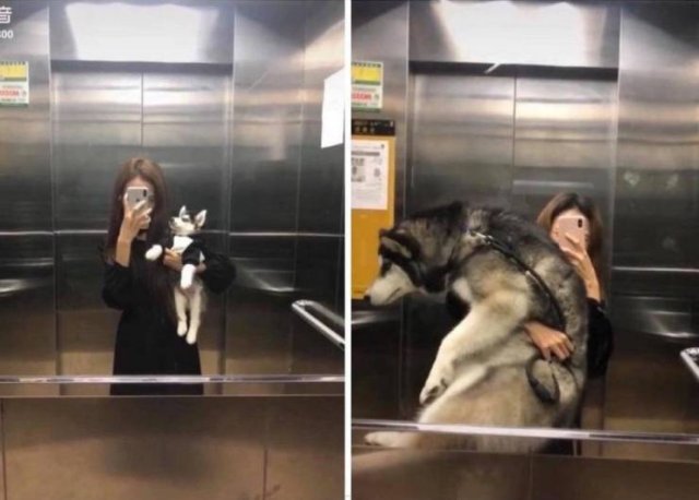 Acid Picdump. Part 1 (96 pics)