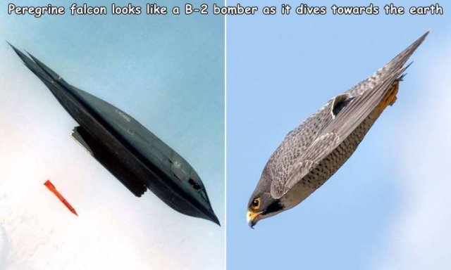 Acid Picdump. Part 1 (96 pics)