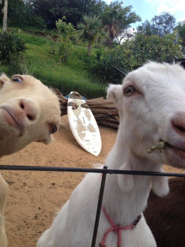 Acid Picdump. Part 1 (96 pics)