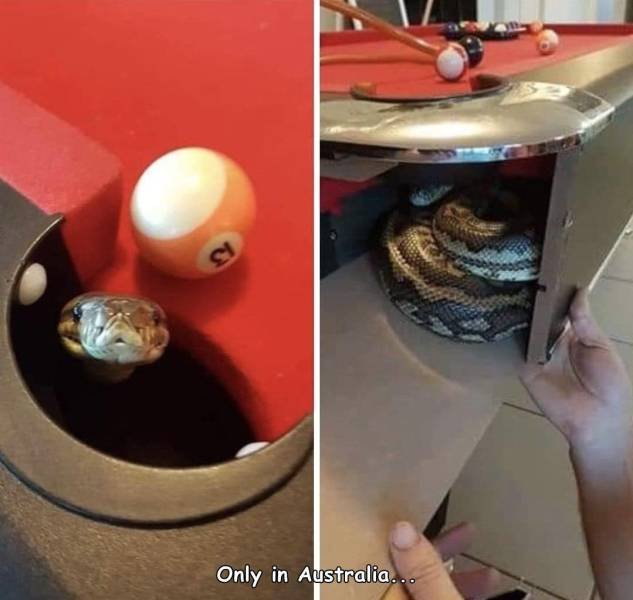 Acid Picdump. Part 1 (96 pics)