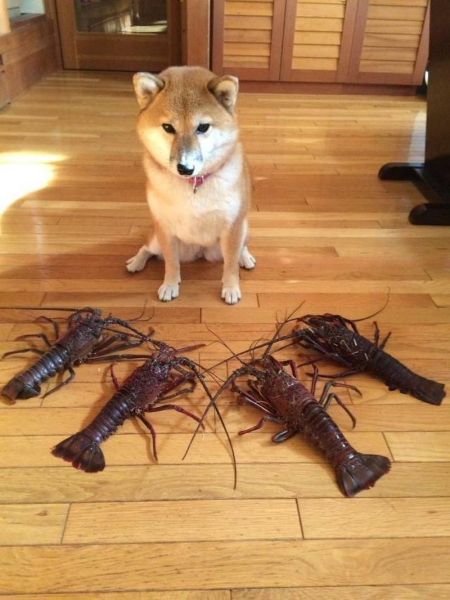 Acid Picdump. Part 1 (96 pics)