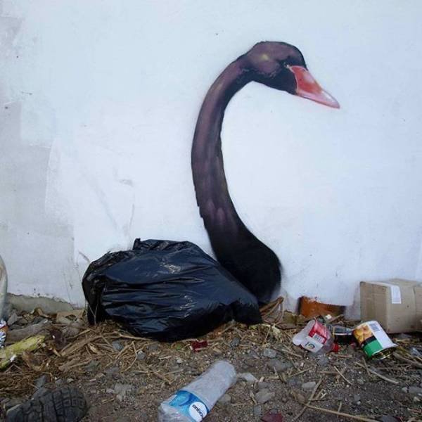 Amazing Graffiti By Falco One (40 pics)
