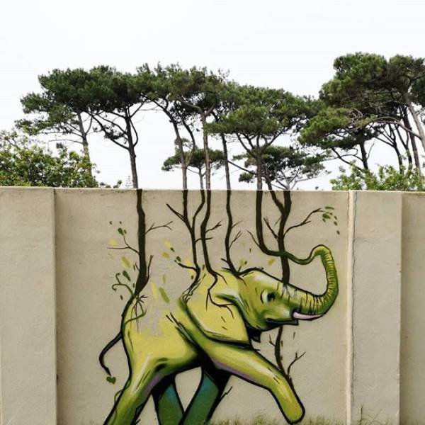 Amazing Graffiti By Falco One (40 pics)