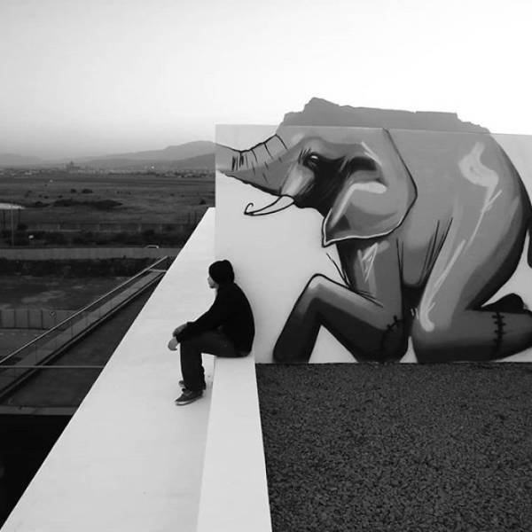 Amazing Graffiti By Falco One (40 pics)