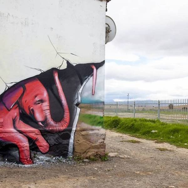 Amazing Graffiti By Falco One (40 pics)