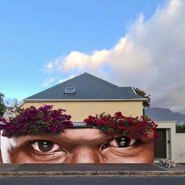 Amazing Graffiti By Falco One (40 pics)