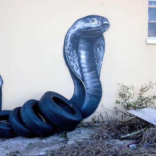 Amazing Graffiti By Falco One (40 pics)