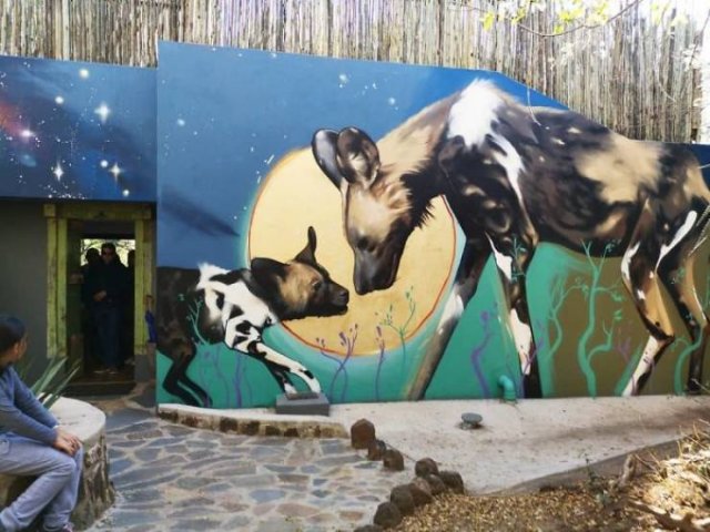 Amazing Graffiti By Falco One (40 pics)