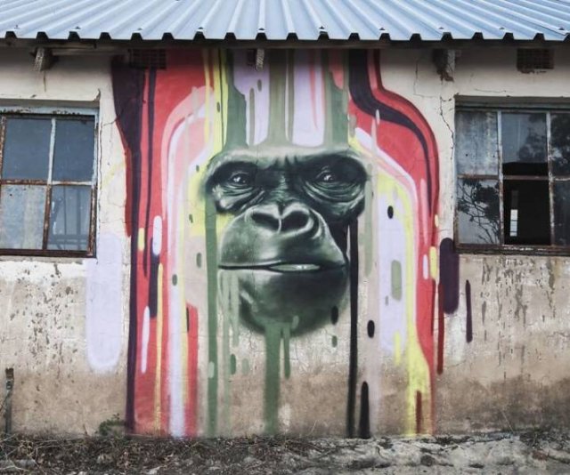 Amazing Graffiti By Falco One (40 pics)