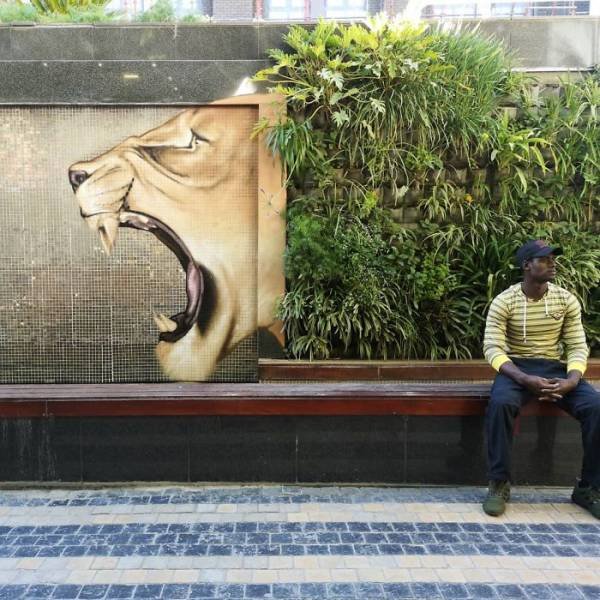 Amazing Graffiti By Falco One (40 pics)