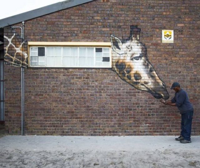 Amazing Graffiti By Falco One (40 pics)