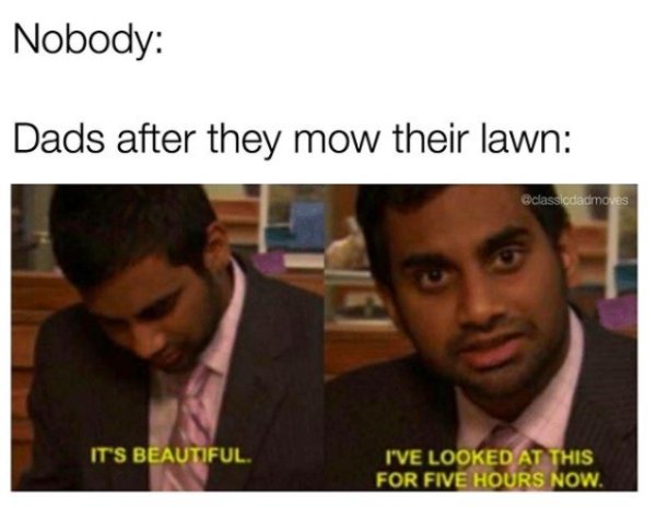 Dad Memes (34 pics)
