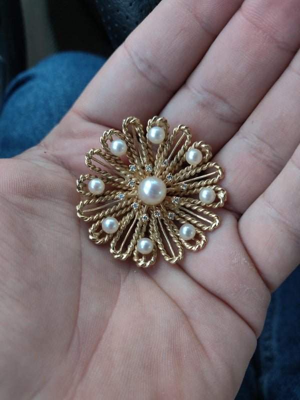 Cheat Thrift Shop Treasures (24 pics)