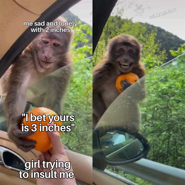 Hilarious Memes (24 pics)