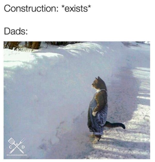 Dad Memes (34 pics)