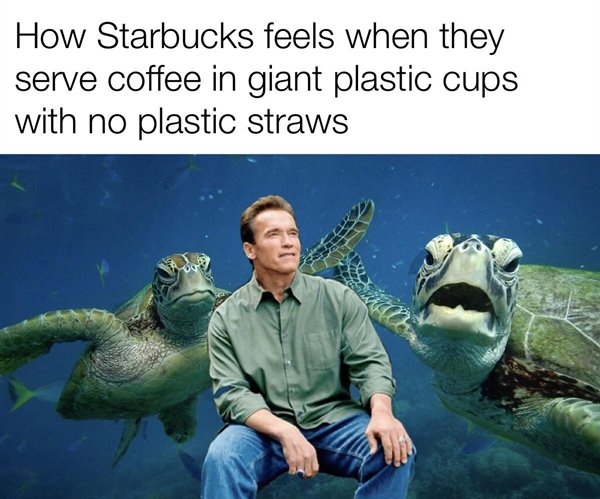 Hilarious Memes (24 pics)