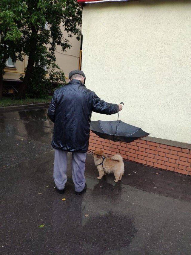 Good Examples Of Care (14 pics)